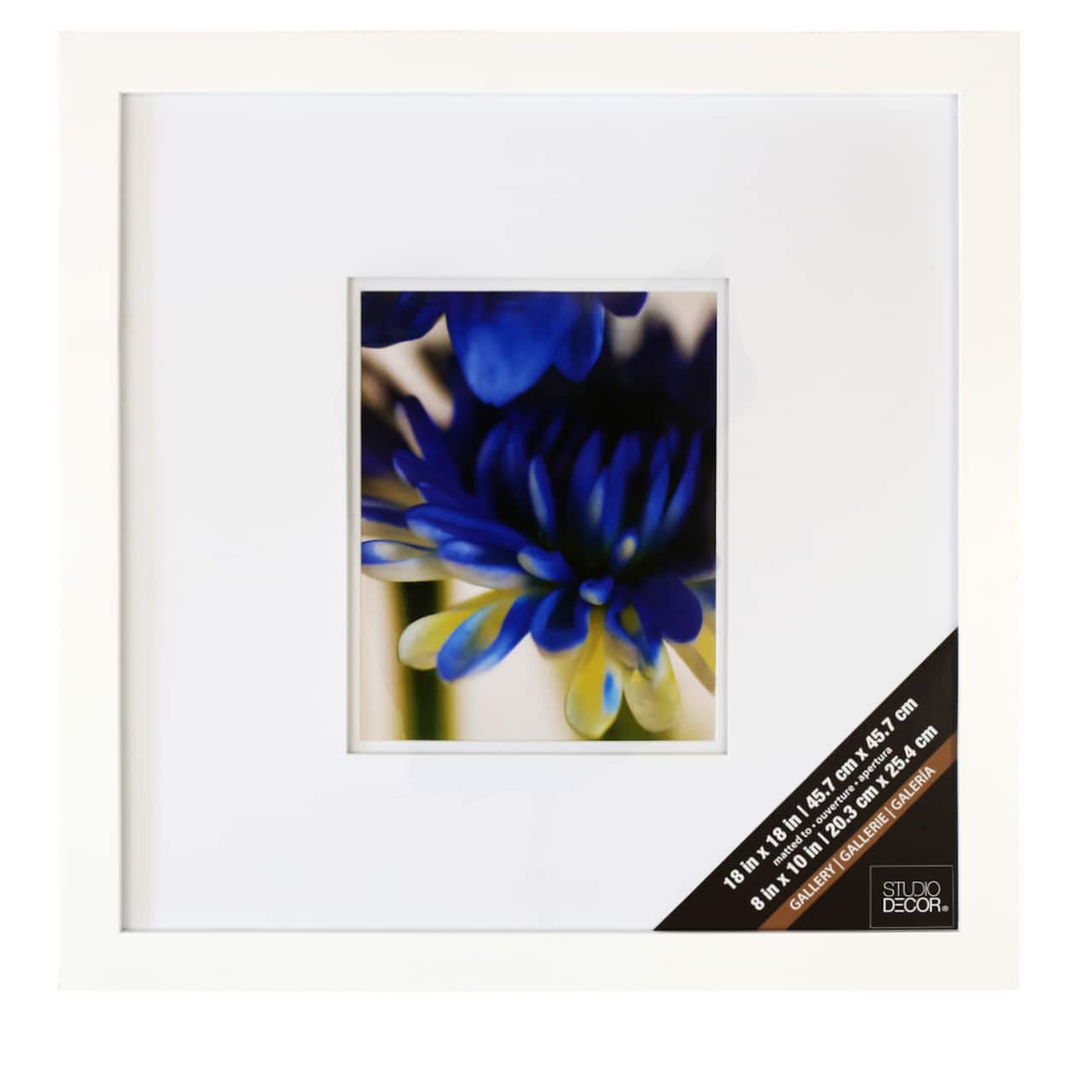 Gallery White Square Wall Frame with Double Mat by Studio Décor®